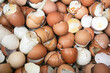 Background of a pile of leftover eggshells from cooking and prepare to make organic fertilizer.