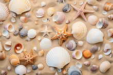 Overhead Shot Of Seashells Scattered On Golden Sand, Evoking Nostalgic Memories Of The Beach And Lazy Summer Days