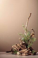 Wall Mural - Abstract nature scene with a composition of juniper and dry snags.