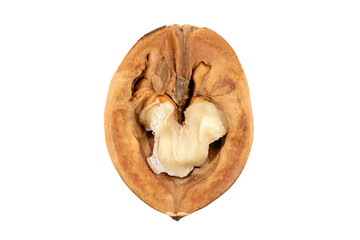 Wall Mural - Half of a walnut in a shell. Isolated on white background. File contains clipping path