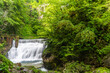 Sum falls waterfalls at vintgar gorge Slovenia