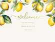 © ku4erashka - Welcome wedding sign. Calligraphy with watercolor lemons. Abstract floral art background vector design for wedding invitation and vip cover template.