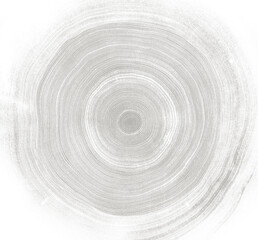 Wall Mural - detailed black and white reclaimed wood tree with circle growth rings pattern