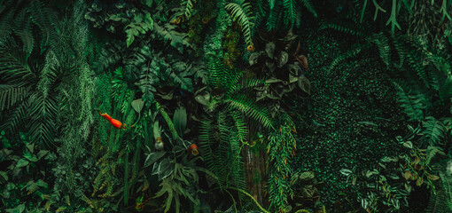 Close up group of background tropical green leaves texture and abstract background. Tropical leaf nature concept.