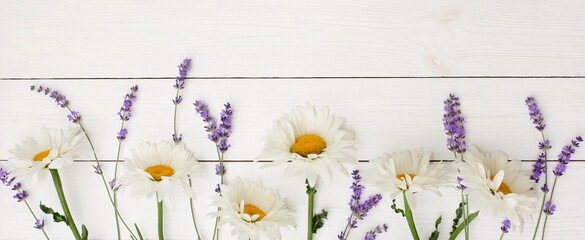 Canvas Print - Flowers background with copy space top view banner. Chamomile daisy and lavender flowers frame template on white wooden backdrop. Floral card