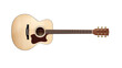 acoustic guitar on a transparent background