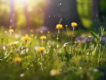 Illustration Of Young Juicy Green Green Grass With Yellow Dandelions. Macro, Bokeh, Sunlight. AI