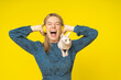 Excited young woman listen to music with emotionally closed eyes and open mouth wear earphones and push by hands blue dress holding sphynx cat on shoulder isolated yellow background