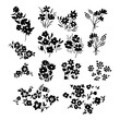 Isolated floral set
