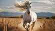 A Majestic Wild White Horse Galloping Freely Across an Open Field - Mane Flowing in the Wind - Dramatic Outdoor Lighting - Generative AI