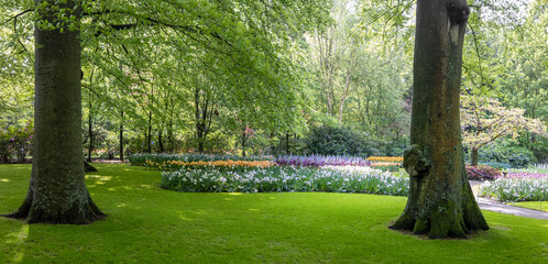 Sticker - Panoramic view of scenic world famous Keukenhof gardens in Netherlands .