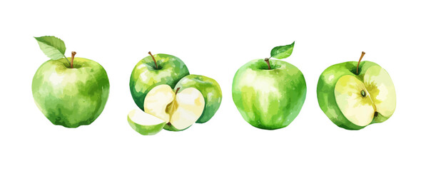 Wall Mural - Set of green apples watercolor isolated on white background. Vector illustration