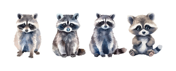 Wall Mural - Set of cute raccoon animal watercolor isolated on white background. Vector illustration