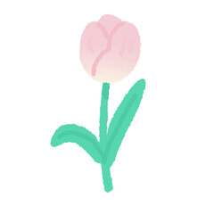 tulip doodle flower