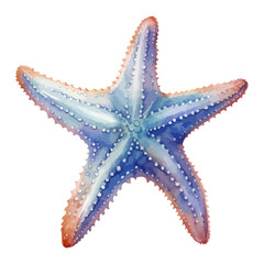 Starfish watercolor, sea animals Watercolor Painting.