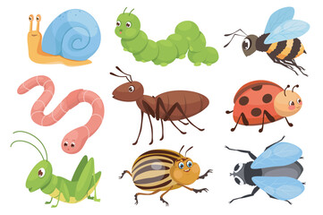 Wall Mural - cute insects mega set in graphic flat design. bundle elements of funny mascots, snail, caterpillar, 