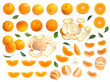 Set of orange, whole, peeled, sliced, orange leaves, skin and seeds isolated on white background