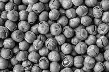 Wall Mural - The texture of a heap of hazelnuts in the shell. Background of healthy plant vegan food. Nuts. Black and white.