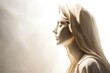 August 15 The Assumption of the Blessed Virgin Mary. Virgin Mary Mother of Jesus Christ white statue in holy light illustration