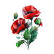 red watercolor poppy flower