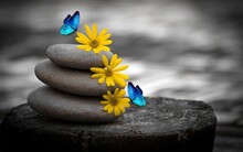 Photo Of Yellow Flowers And Blue Butterflies Using Creative Design Elements And Background Blur.