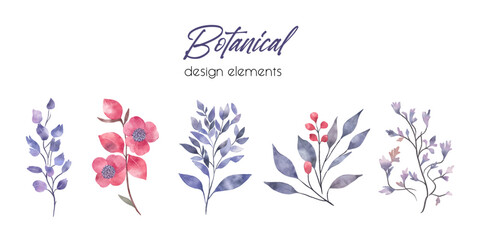 Wall Mural - Set of watercolour botanicals for your design. Purple flowers and leaves isolated. Collection of botanic flowers and branches