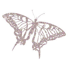Wall Mural - silver butterfly glitter on transparent background. butterfly icon.design for decorating,background,