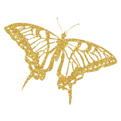Wall Mural - Golden butterfly glitter on transparent background. Butterfly icon.Design for decorating,background, wallpaper, illustration