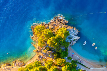Wall Mural - view from the air on the waves and rocks. sea relaxation and travel. the forest near the sea. azure 