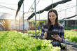 © Natee Meepian - Greenhouse, agriculture and woman with vegetables growth checklist, agro business development and portrait. gardening and sustainability person with portfolio for inspection and smile