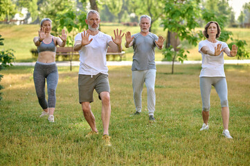 Wall Mural - A group of people practicing yoga in a park