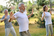 © zinkevych - Mature group of people workout and practice tai chi.