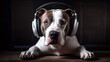 Sonic Seeker: Dog in Headphones Scours the Earth for Musical Gems