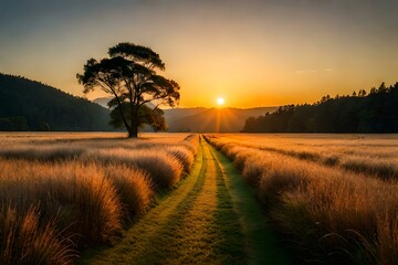 sunrise in the field generated ai