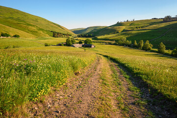 Wall Mural - barrowburn hay meadows looking down coquetdale. the upland hay meadows of northumberland national pa