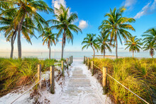Smathers Beach, Sunrise.beautifully  Framed By Palm Trees..Key West, Florida, USA