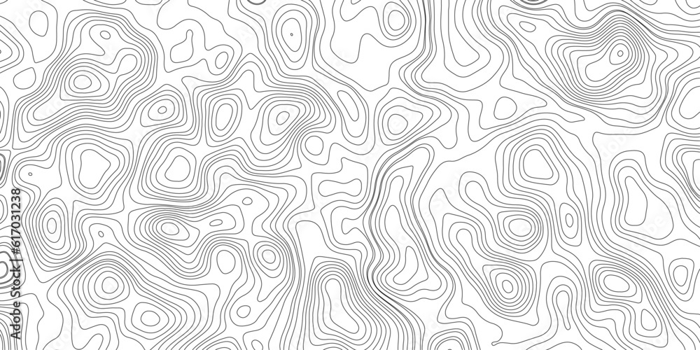 Topography Paper Topographic map background geographic line map with elevation ...