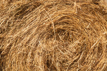 Straw, Dry Straw Texture Background, Vintage Style For Design