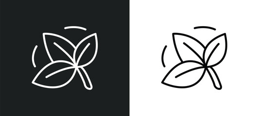 Wall Mural - basil line icon in white and black colors. basil flat vector icon from basil collection for web, mob