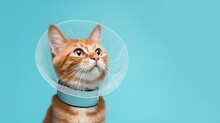 Cat With A Cone Collar After A Trip To The Vete On Blue Background. AI Generation