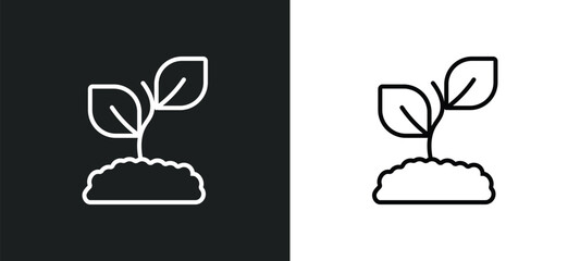 Wall Mural - eco plant line icon in white and black colors. eco plant flat vector icon from eco plant collection 