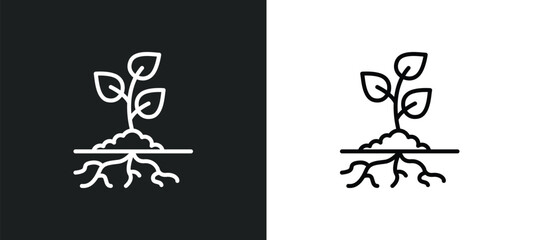 Wall Mural - plant and root line icon in white and black colors. plant and root flat vector icon from plant root 