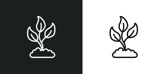 Wall Mural - growing plant line icon in white and black colors. growing plant flat vector icon from growing plant