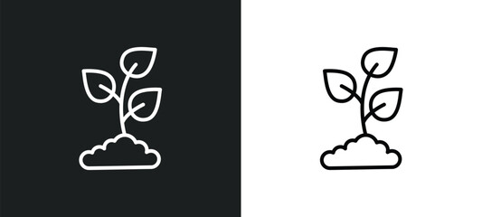 Wall Mural - plant a tree line icon in white and black colors. plant a tree flat vector icon from plant a tree co