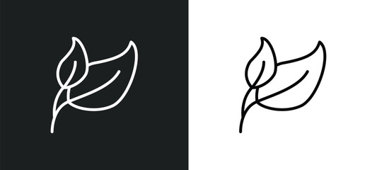 Wall Mural - two leaves line icon in white and black colors. two leaves flat vector icon from two leaves collecti