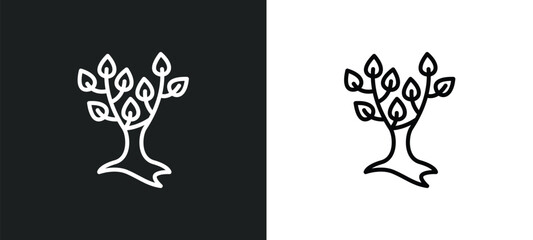 Wall Mural - tree with many leaves line icon in white and black colors. tree with many leaves flat vector icon fr