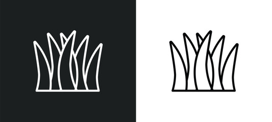 Wall Mural - grass line icon in white and black colors. grass flat vector icon from grass collection for web, mob