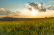 Color evening meadow near Bozi Dar village with sunshine