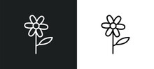 Oleander Line Icon In White And Black Colors. Oleander Flat Vector Icon From Oleander Collection For Web, Mobile Apps And Ui.