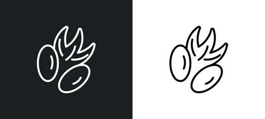 pecan leaf line icon in white and black colors. pecan leaf flat vector icon from pecan leaf collection for web, mobile apps and ui.